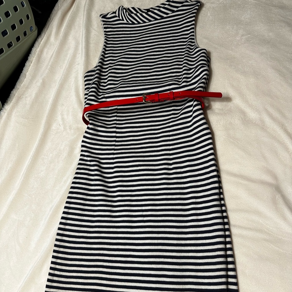 The Limited Sleeveless Dress